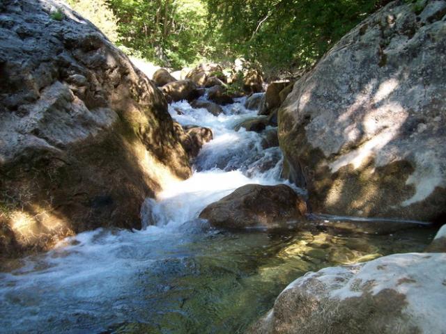 100_7835_resize.jpg