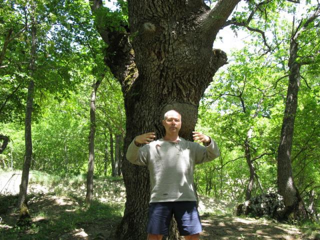 IMG_0581_resize.jpg